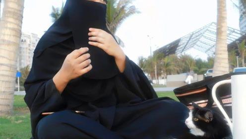 娱乐吃瓜君富婆,揭秘娱乐圈幕后故事