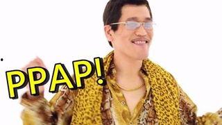 ppap视频搞笑版,笑翻你的“拍拍拍”之旅