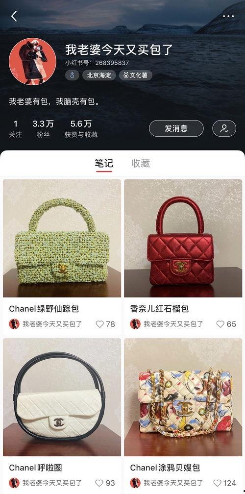 网红卖包包